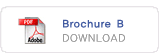 Download 'Brochure B'